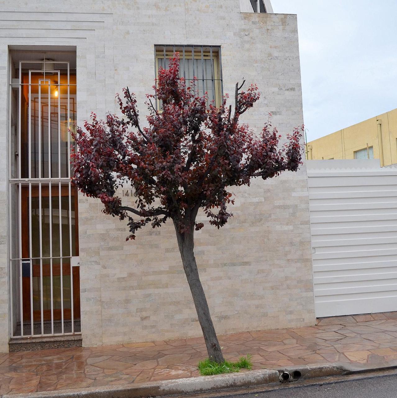 Via Lavalle Suites San Luis Buitenkant foto